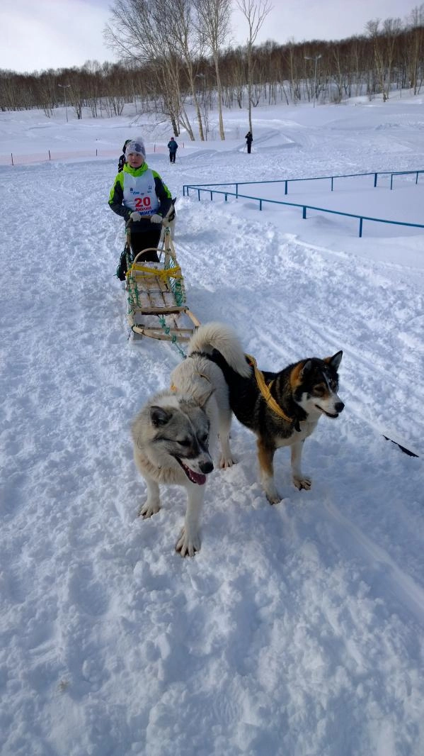 In article 25c591581a