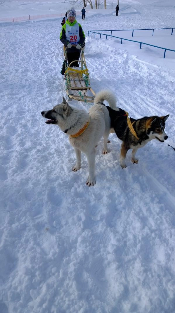 In article cd33eb1807