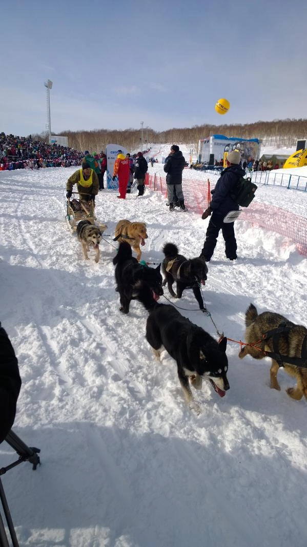 In article 8e24572a5a