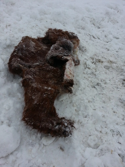 In article bcb77ba8bb