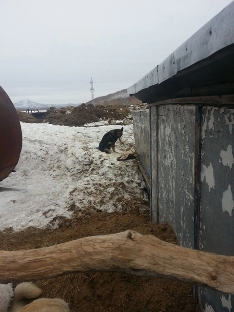 In article 5e92b8472d