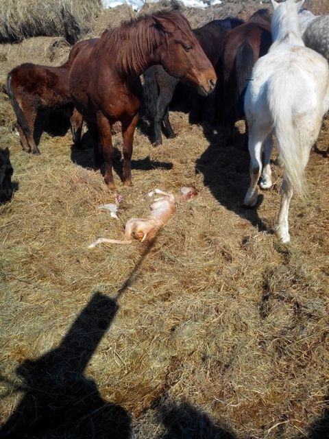 In article 72bf4cbe47