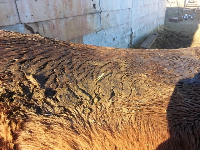 In article d002b83a96