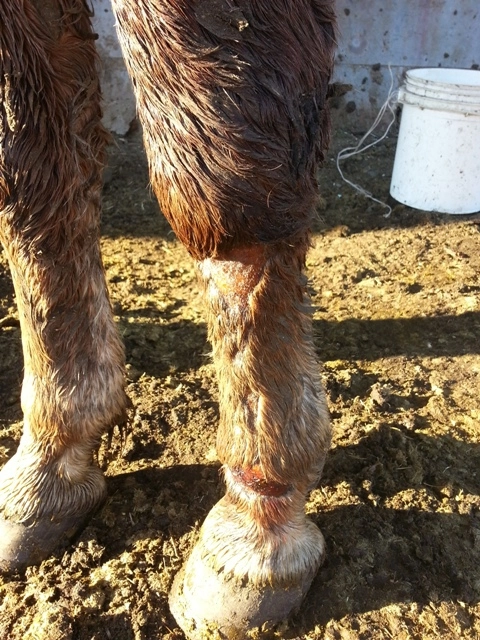 In article f0f8795125