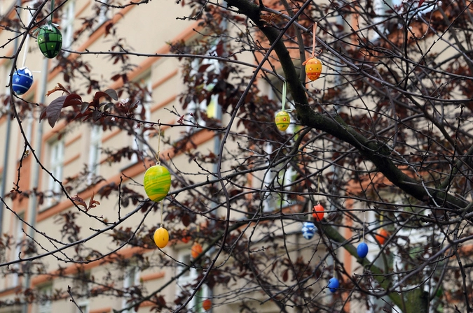 © Елена Сафонова