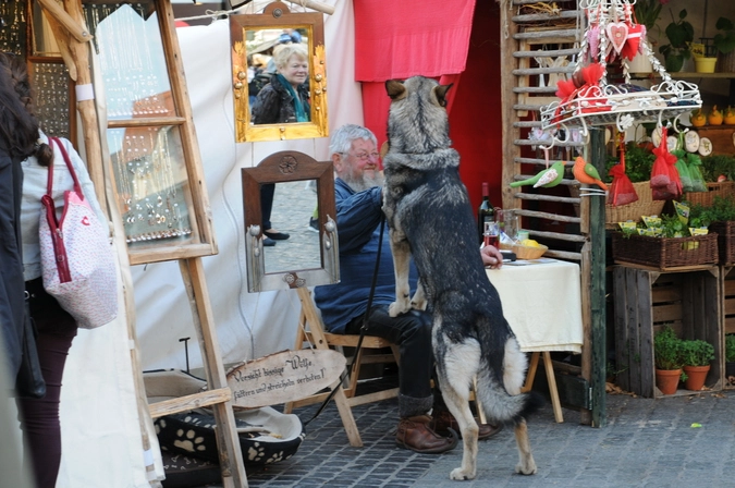 © Елена Сафонова