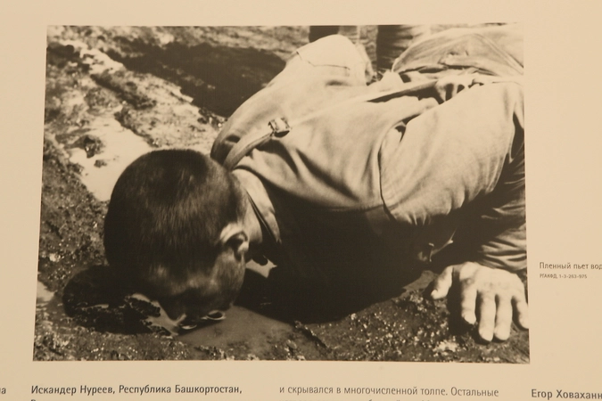 "Пленный пьет воду из лужи". РГАКФД