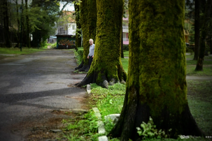 Пожилой человек выглянул из-за дерева, а потом продолжил заниматься утренней гимнастикой.