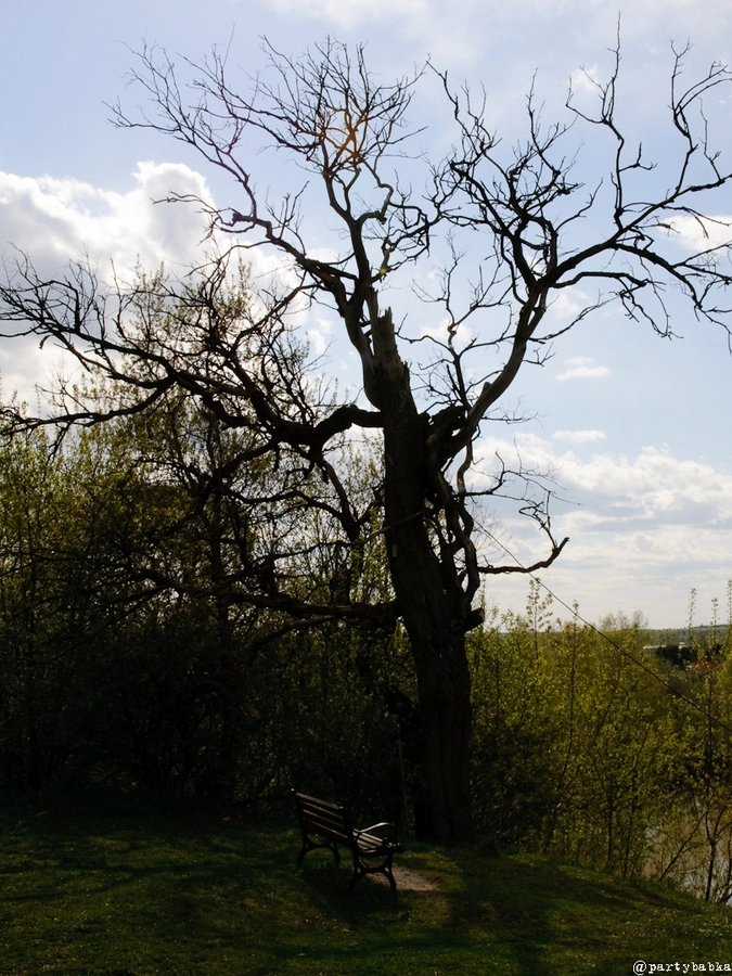 Свято-Благовещенский монастырь