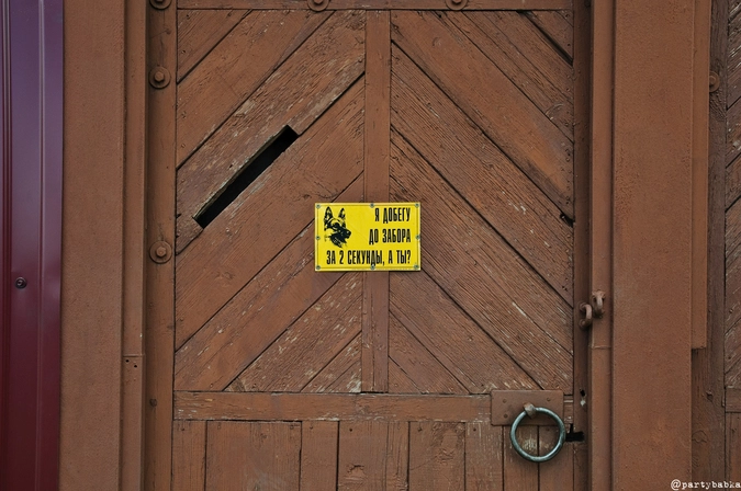 Барбосы тут быстрые какие