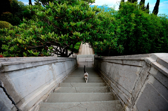 Лестница в Ливадийском дворце.