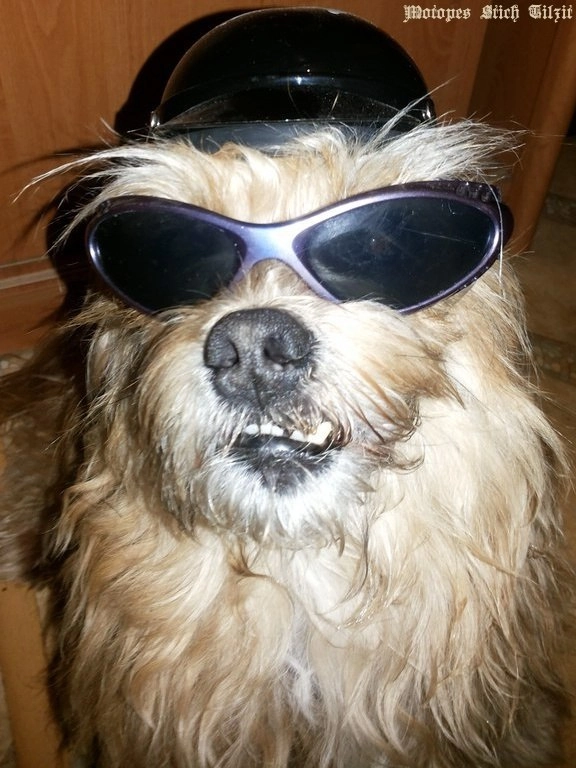 In article 4a80dcf94a