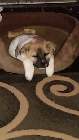 In article 0be1a71370