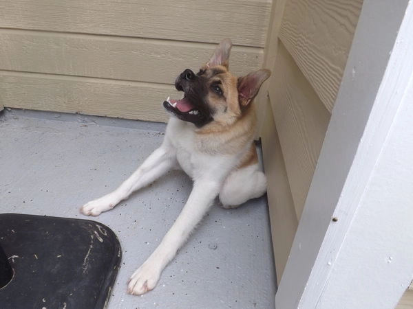 In article 6afb2cbc9c