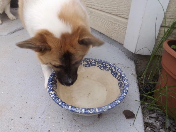 In article 419d3a1aca