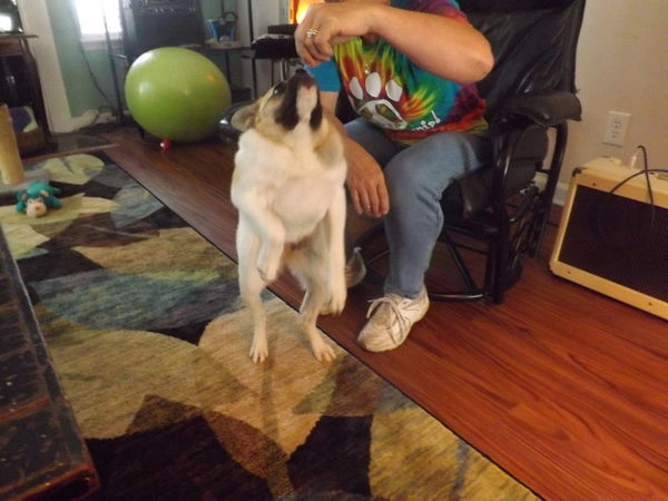 In article 11383932e9