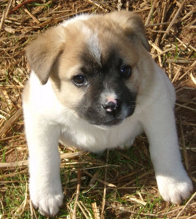 In article ae91d1b9ec