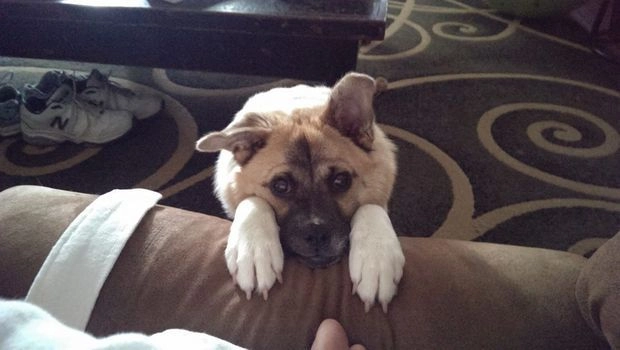 In article 95c3546bfb