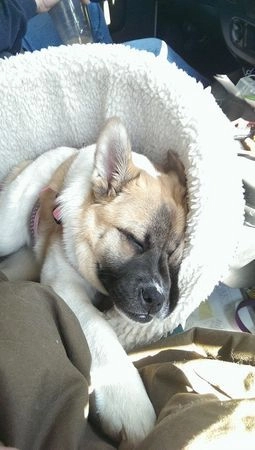 In article f7378c74d1