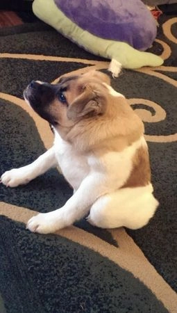 In article c5c05fbe3a