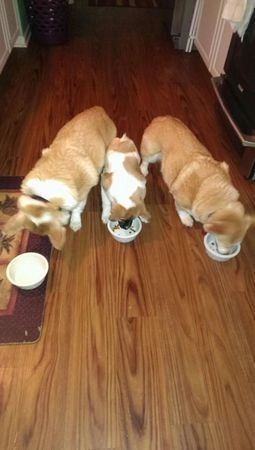 In article 2d61c353c2