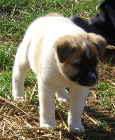 In article 44b1f2bda3