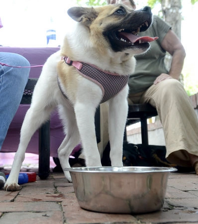 In article ecf6c0fa9e