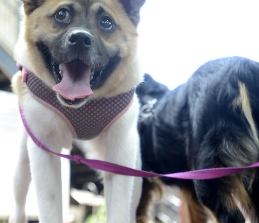 In article e38b5dd871