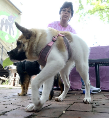 In article 536c41e861