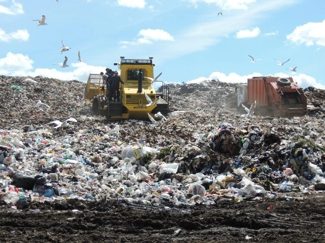 In article cb82e63345