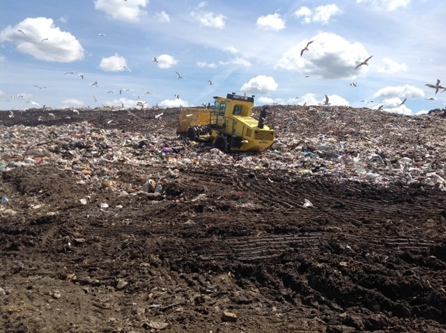 In article 453143157a