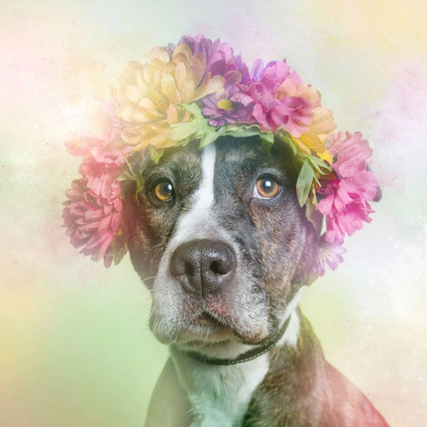 In article 839774426b