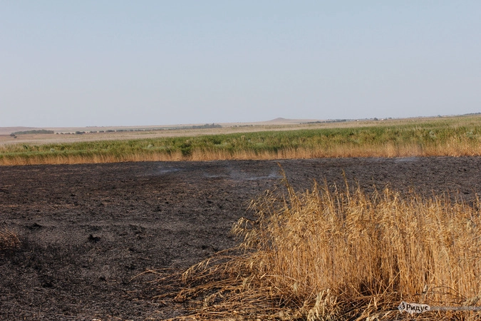 В Краснодарском крае много случаев возгорания полей.