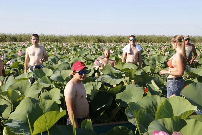 Участники экспедиции в поле лотоса на дельте Волги.