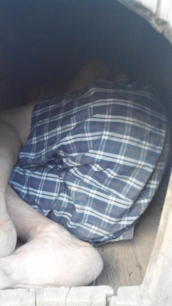 In article 48f0c0184a