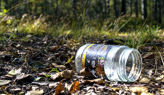 Красиво в лесу, после "людей"