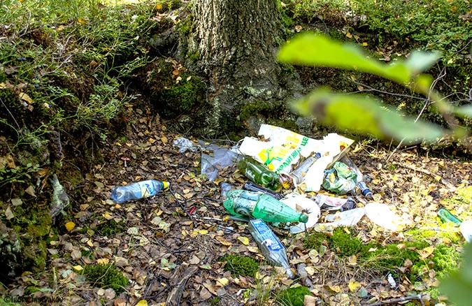 Кладбище в парке Сосновка