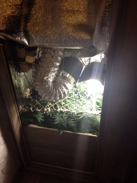 In article 290c5a8318