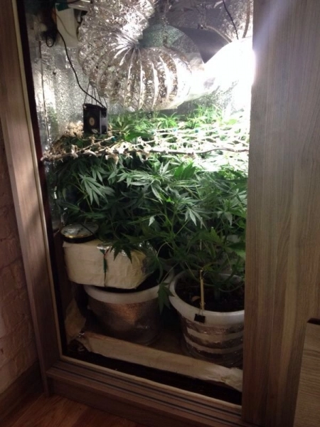 In article 5a49f86a73