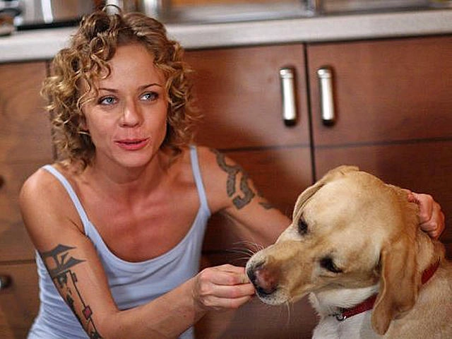 In article 1bbe57a035