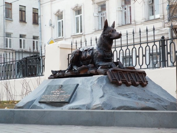 In article 42a6c9f823