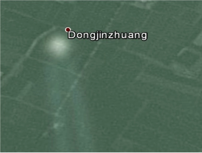 Объект НЛО в увеличенном виде. Снимок 2010 года.