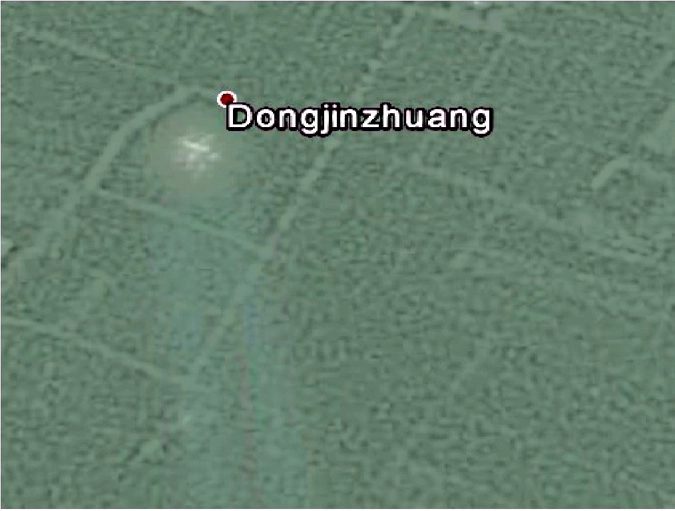 Максимально увеличенный артефакт похожий на НЛО. Спутниковый снимок 2010 года.