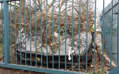 In article 77ff1e3bd1