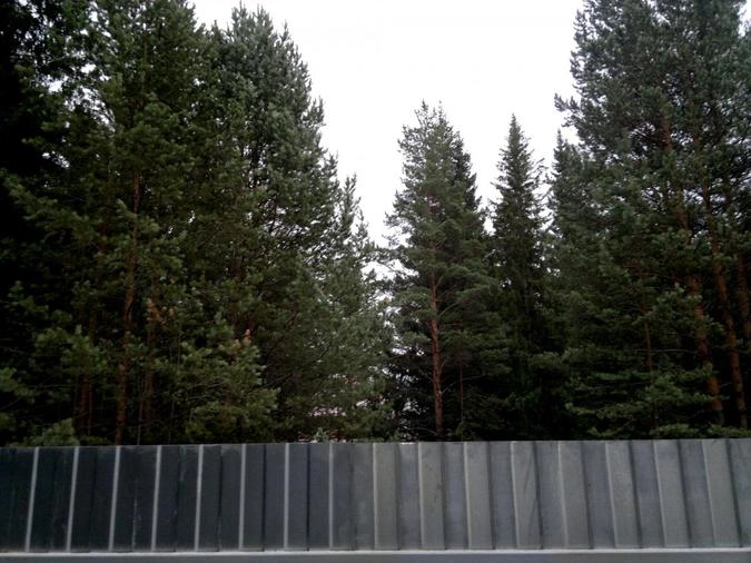 Подобный случай был и с законопроектом, который разрешал проводить изыскательские и геологоразведочные работы, связанные с рубкой леса, без предоставления лесов в аренду, а также позволял строить заправки и торговые центры в лесу у дороги. Эта инициатива сделала бы возможной добычу ископаемых, организацию свалок и рубок без оценки последствий для природы. Против этого законопроекта выступили десятки тысяч граждан. В итоге законопроект был отозван из Думы. 