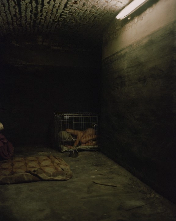 In article d3aa43973c