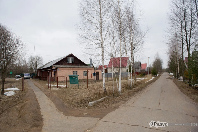 Школа, призванная нести свет образования, стала причиной раздора