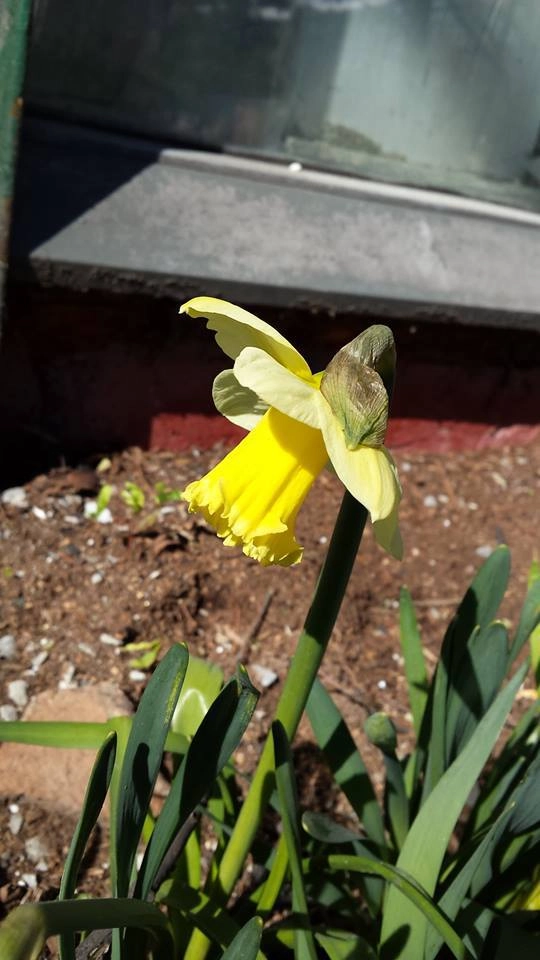 In article 1c15f10c32