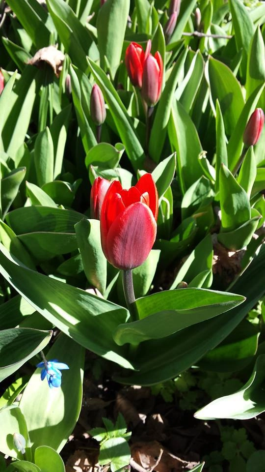 In article 309e17213e