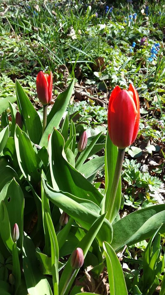 In article 6130fc1bbe